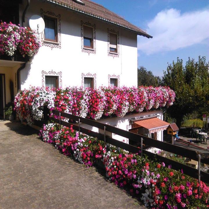 Gasthof zur Burgruine